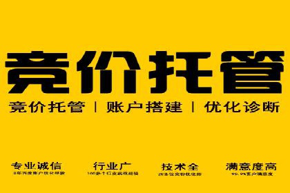 竞价广告的创意策略：XX企业广告成功的关键因素